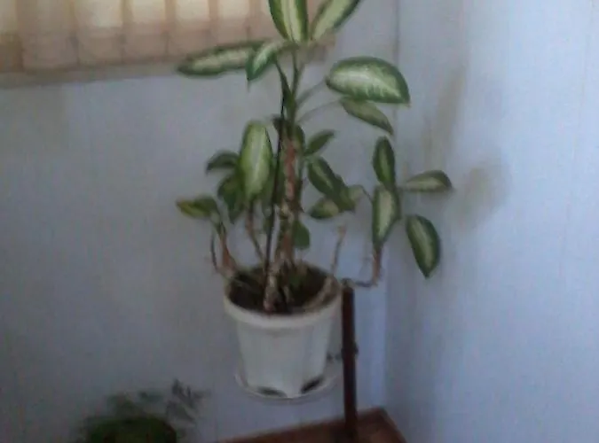 в центре. Maison d'hôtes